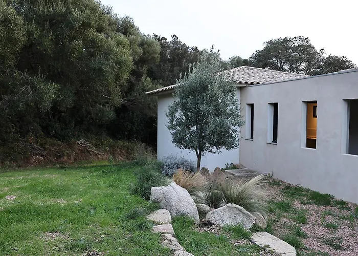 A Macchia - T2 Nature&couché De Soleil Appartement Figari (Corsica)